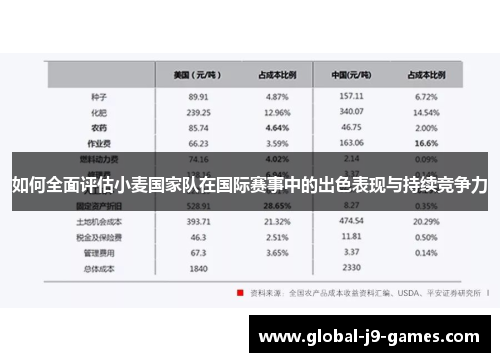 如何全面评估小麦国家队在国际赛事中的出色表现与持续竞争力