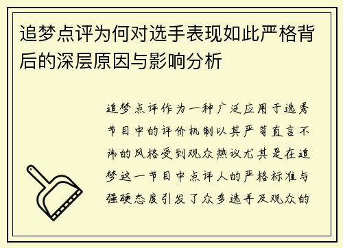 追梦点评为何对选手表现如此严格背后的深层原因与影响分析